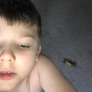 Meet your Posher, Charles